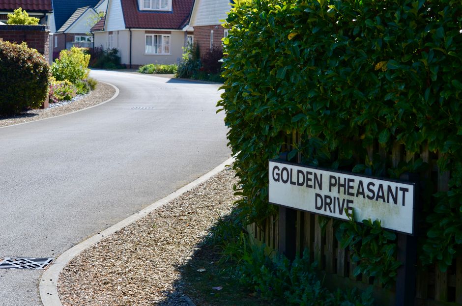The image depicts a quiet residential street corner viewing the corner of Golden Pheasant Drive, with a white street sign attached to a wooden fence partially obscured by dense green foliage. The street sign has black lettering and appears slightly weathered. Behind the sign, a neatly maintained hedge runs along the fence, casting a shadow on the ground. The street itself is smooth with a gentle curve, bordered by a gravel strip and a concrete curb, leading to a row of modern detached houses with pitched roofs and brick or tiled facades in the background. The houses have windows and small front gardens with well-kept plants and shrubs, illuminated by bright daylight under a clear sky, creating a calm and tidy environment typical of suburban neighbourhoods. The scene reflects a peaceful setting suitable for private property management, such as rubbish removal or on-site clearance services, aligning with independent waste handling in the area. Rubbish Removal Sutton could assist with waste collection needs in residential areas like this, where ground-level clutter and refuse can be managed efficiently.